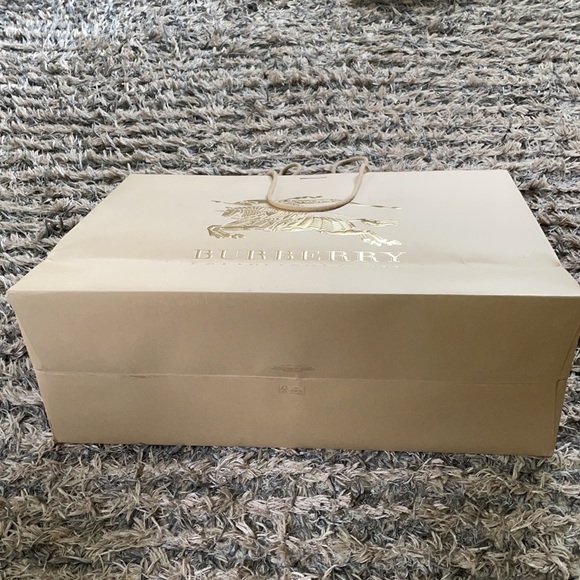Burberry Large Paper Bag - Picture 4 of 5